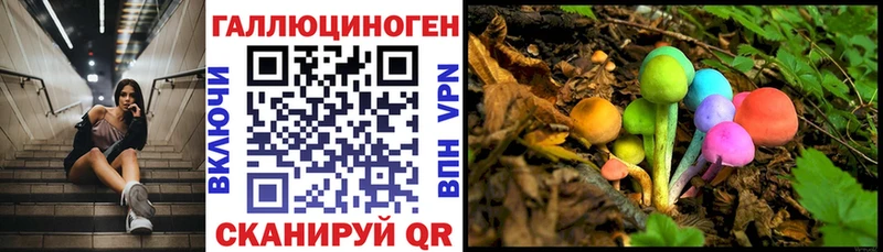 Галлюциногенные грибы мицелий  купить наркотик  Семикаракорск 